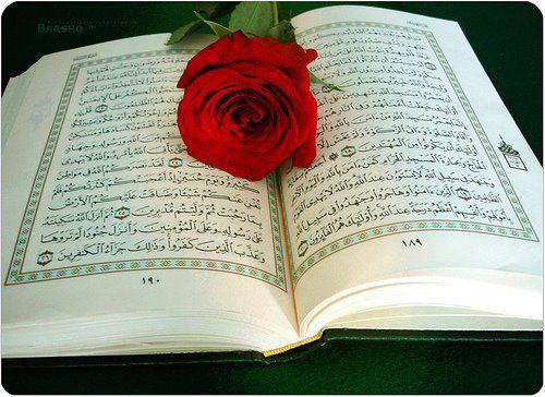 آیۀ مورد نظر شما در کدام سورۀ قرآن است؟!
